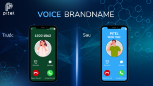 Cuộc gọi thương hiệu Voice Brandname là gì?